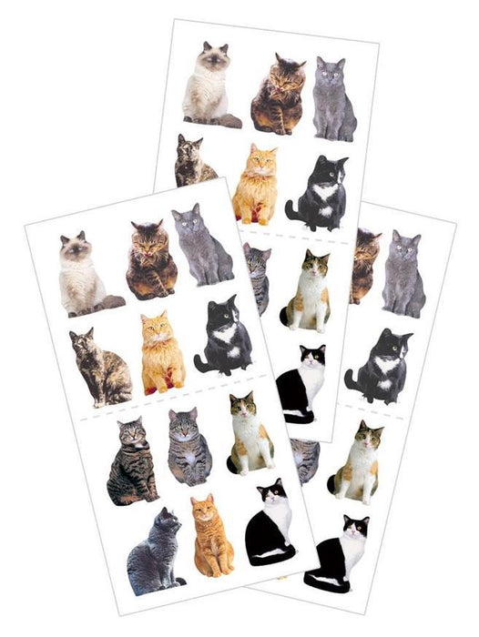 Mini Mixed Cats Stickers
