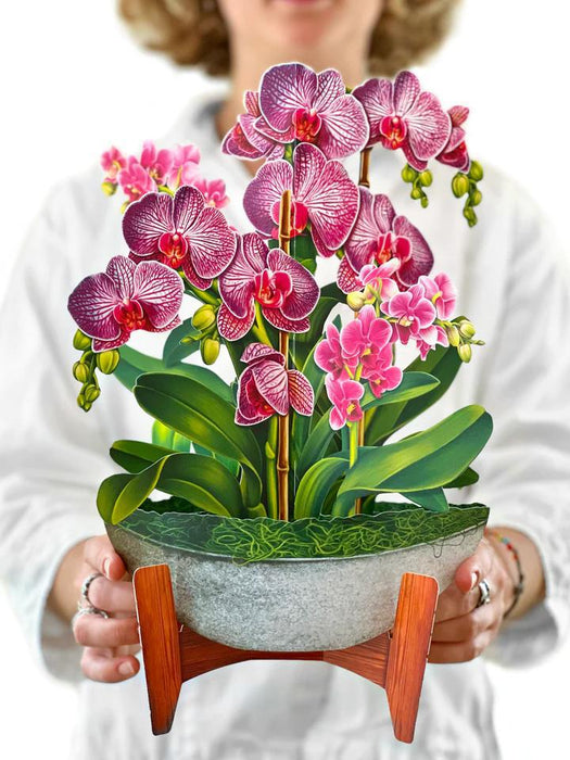 Pop-Up Bouquet - Orchid Oasis