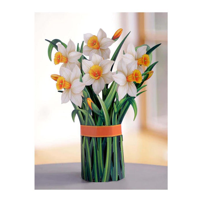 Pop-Up Bouquet - Daffodils